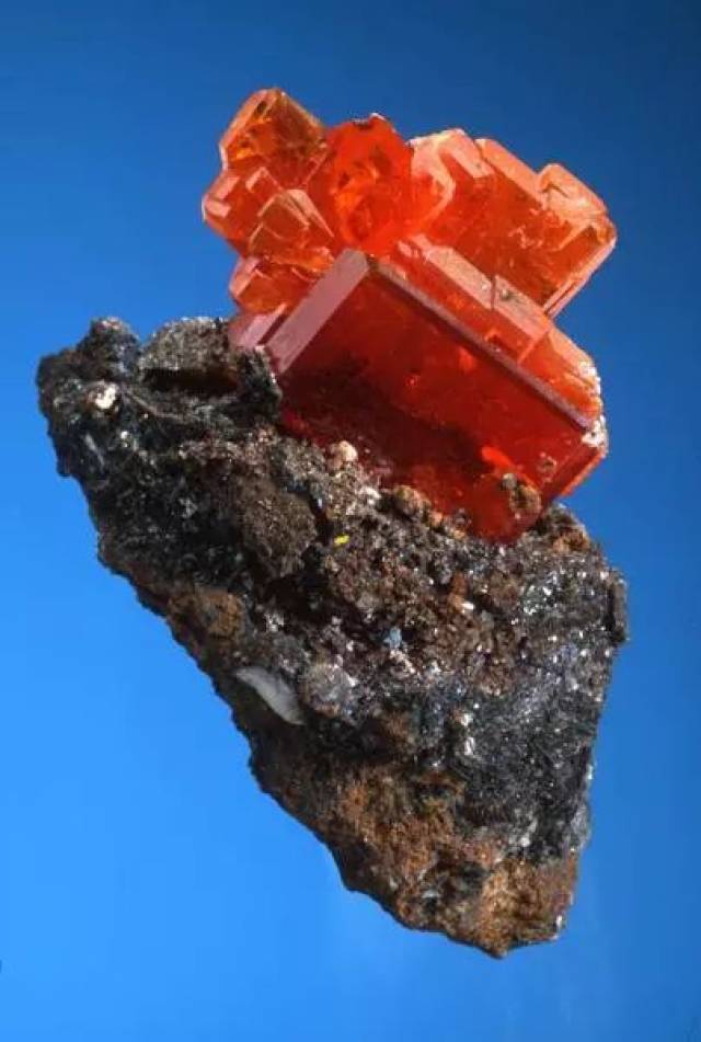开云-.涯?瘍l?钼1〃??的简单介绍